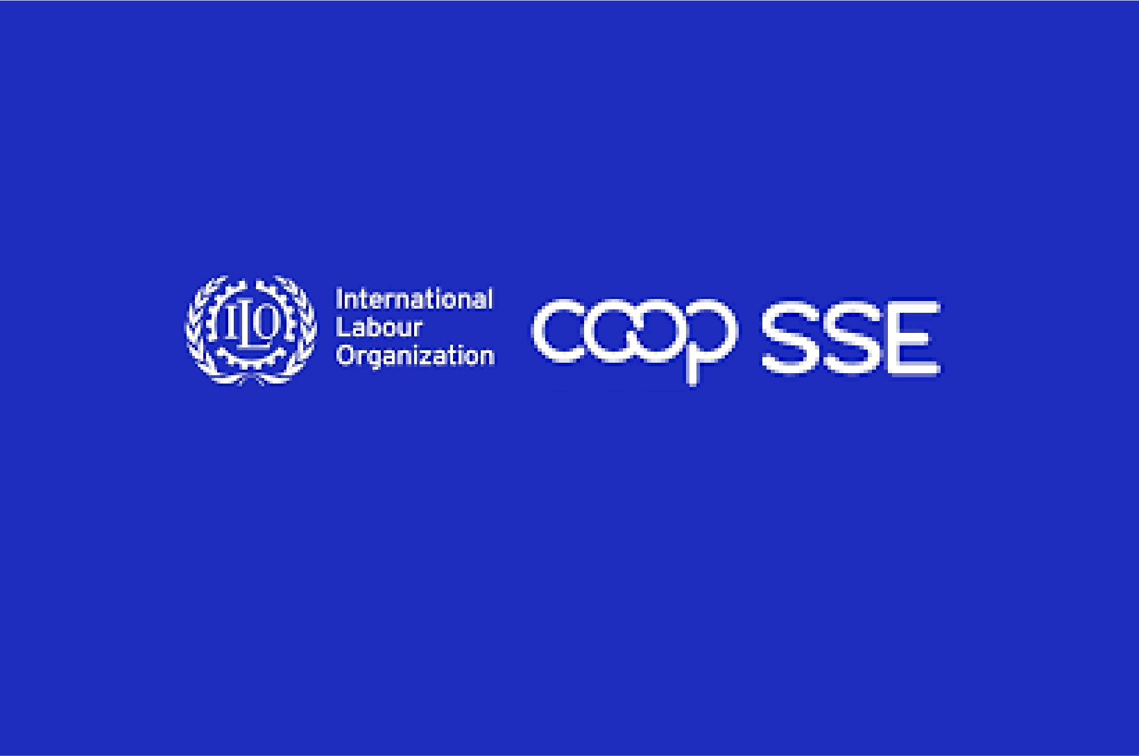 Interview with Sonia George, SEWA